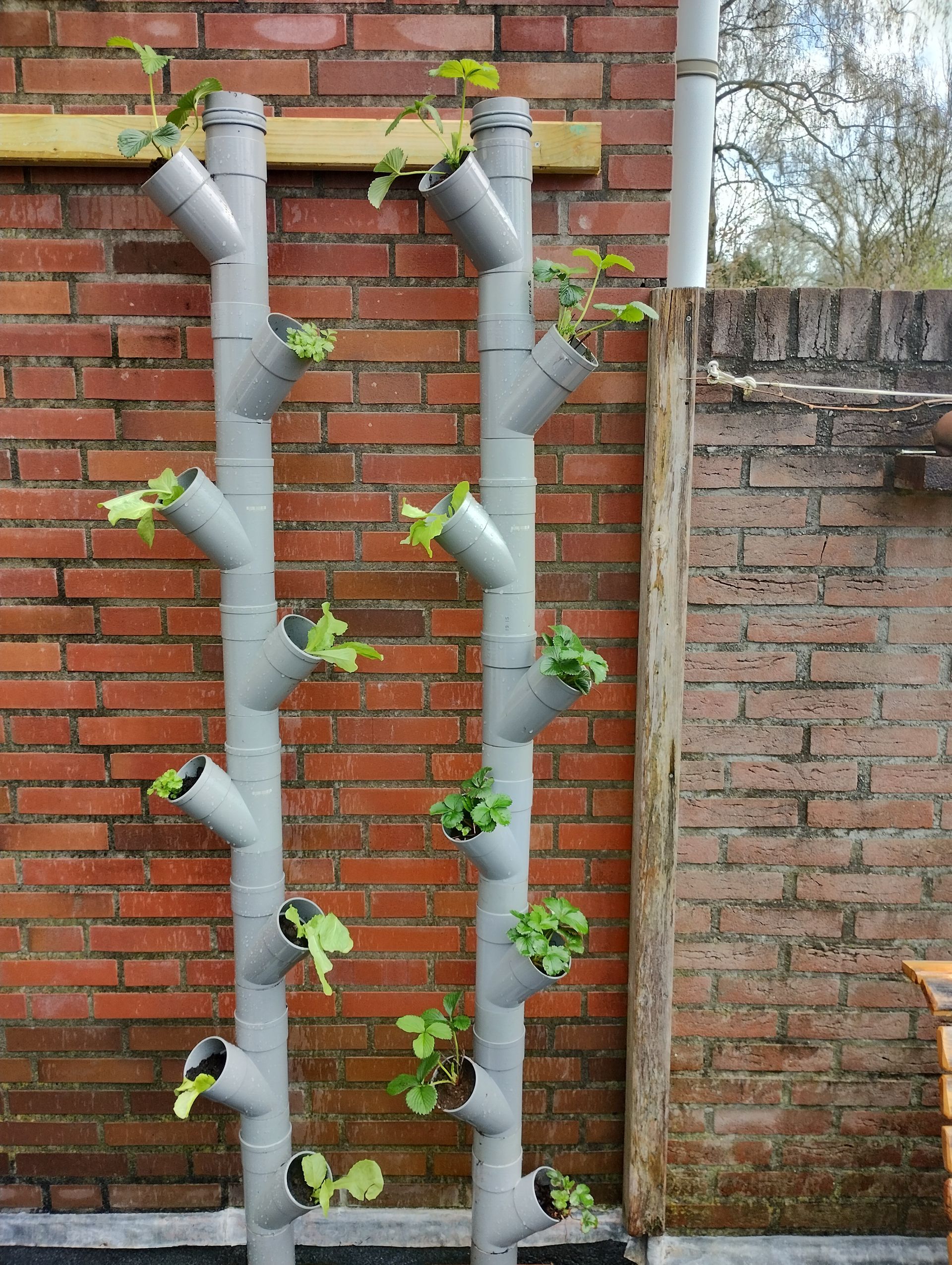 Voorbeeld creatief tuinieren