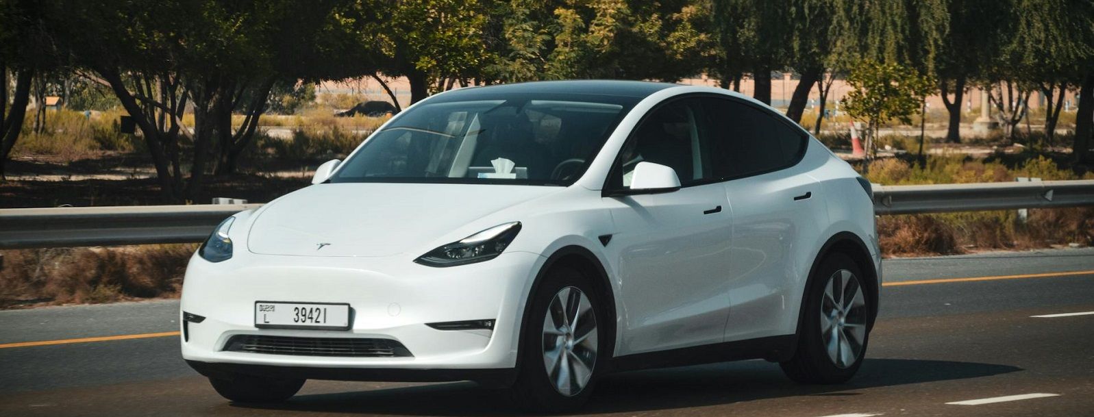 Tesla Window Tinting Riverside AL
