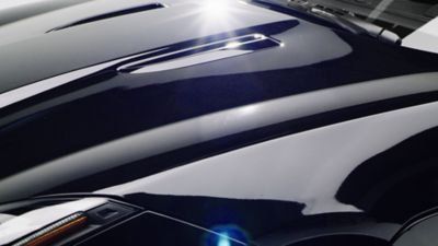 clear bra film Riverside AL