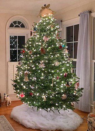 A large christmas tree is sitting in a living room next to a window.