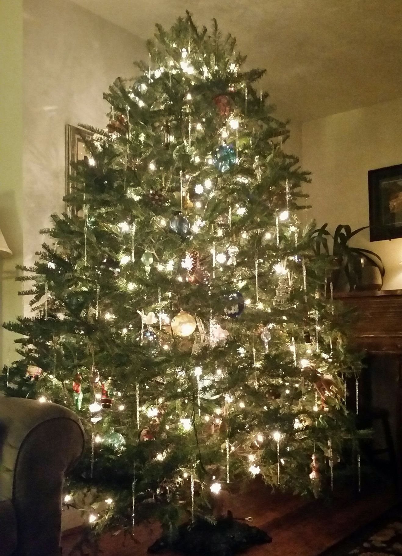 A large christmas tree is lit up in a living room