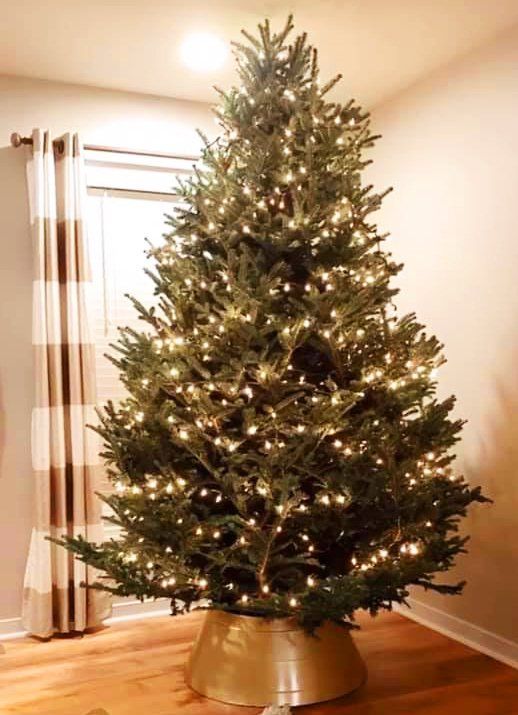 A large christmas tree in a room with lights on it
