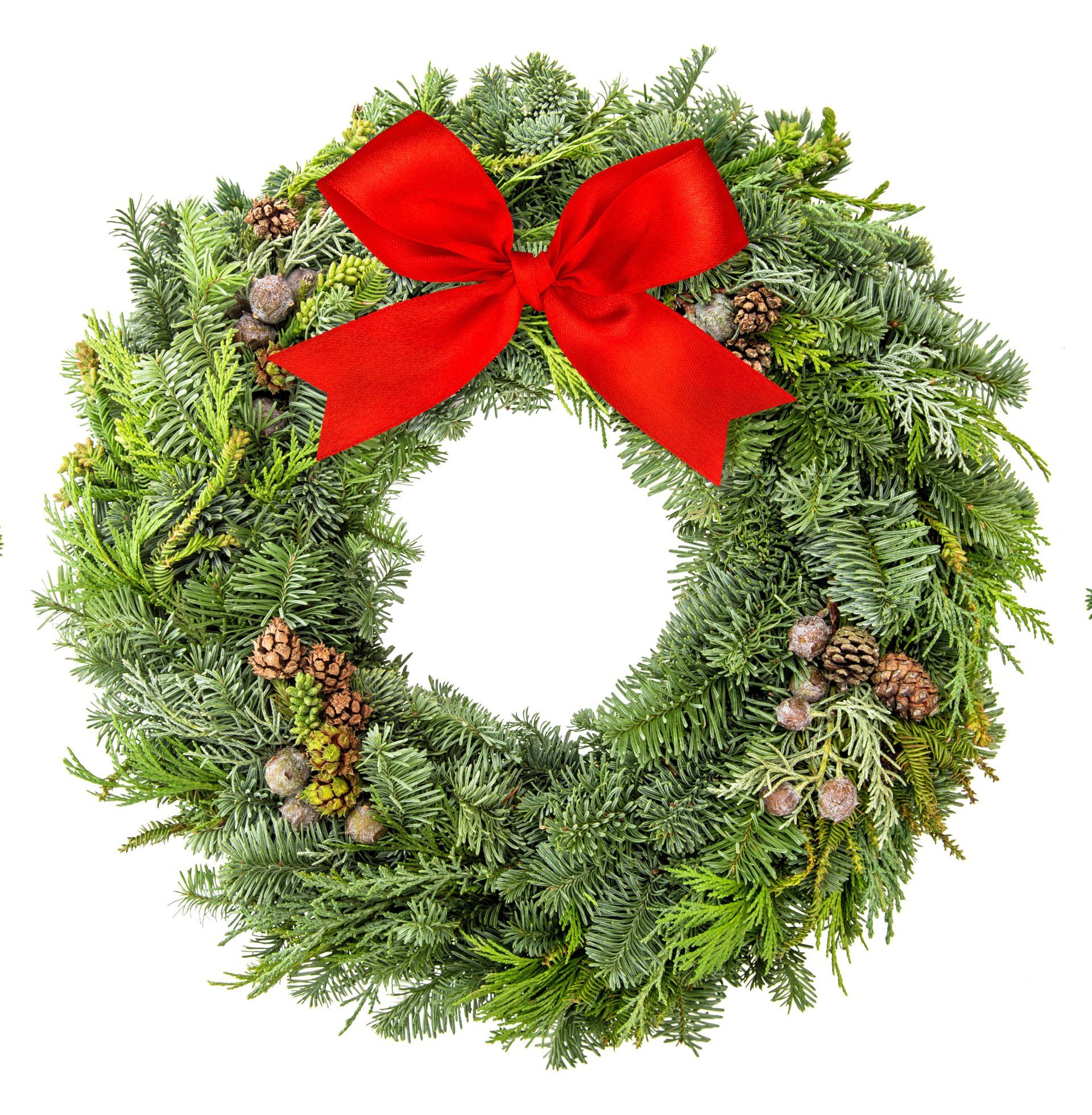 A christmas wreath with a red bow on it