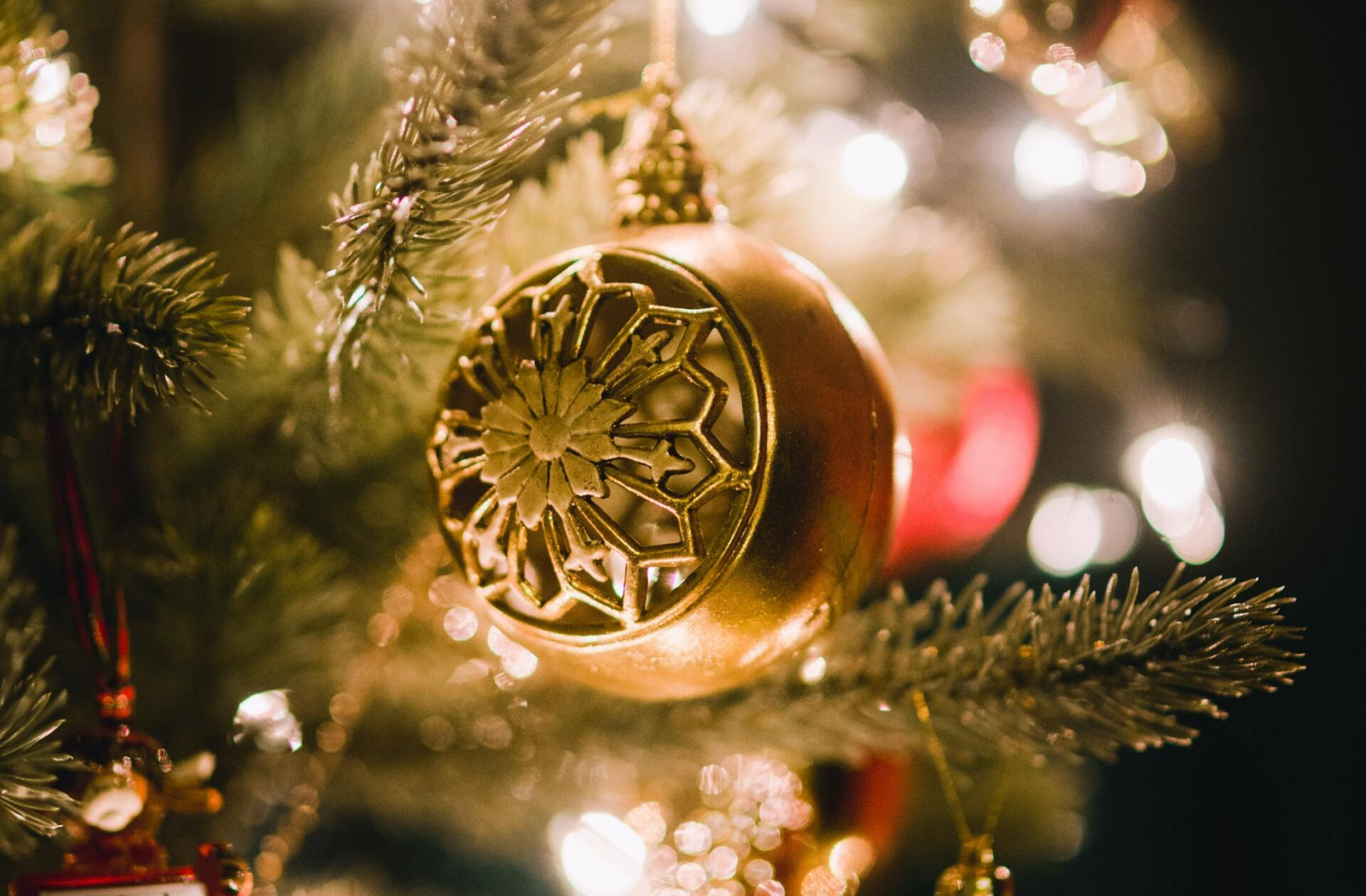 A close up of a christmas tree with a gold ornament hanging from it.