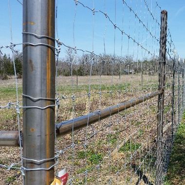 8' Game Fence Missouri and Arkansas Border