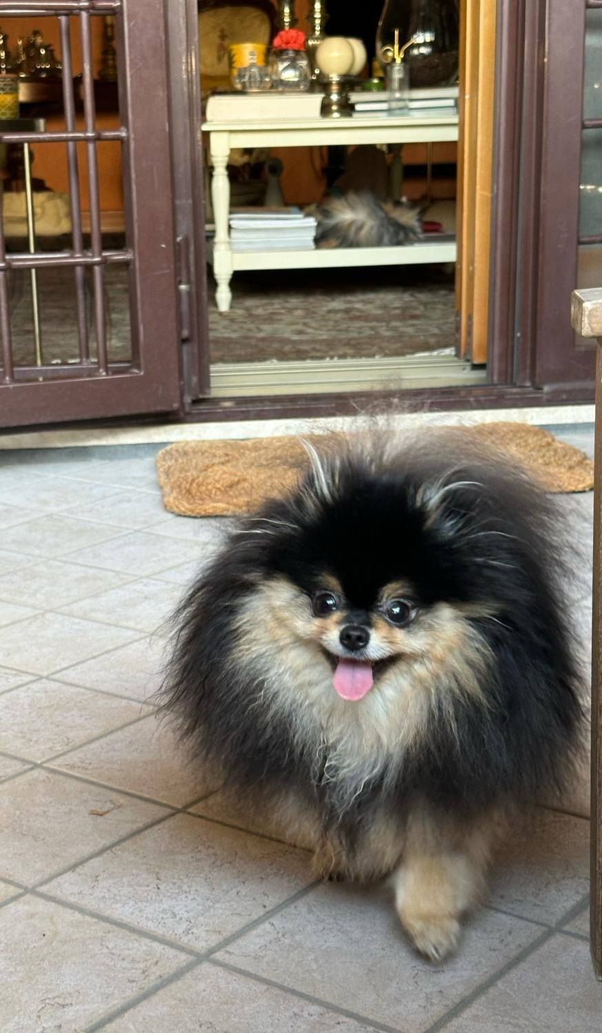 Parcheggio in ghiaia di fronte a una casa gialla, sotto un cielo azzurro e limpido. Montagne sullo sfondo.