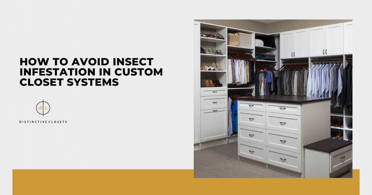 How to Avoid Insect Infestation in Custom Closet Systems
