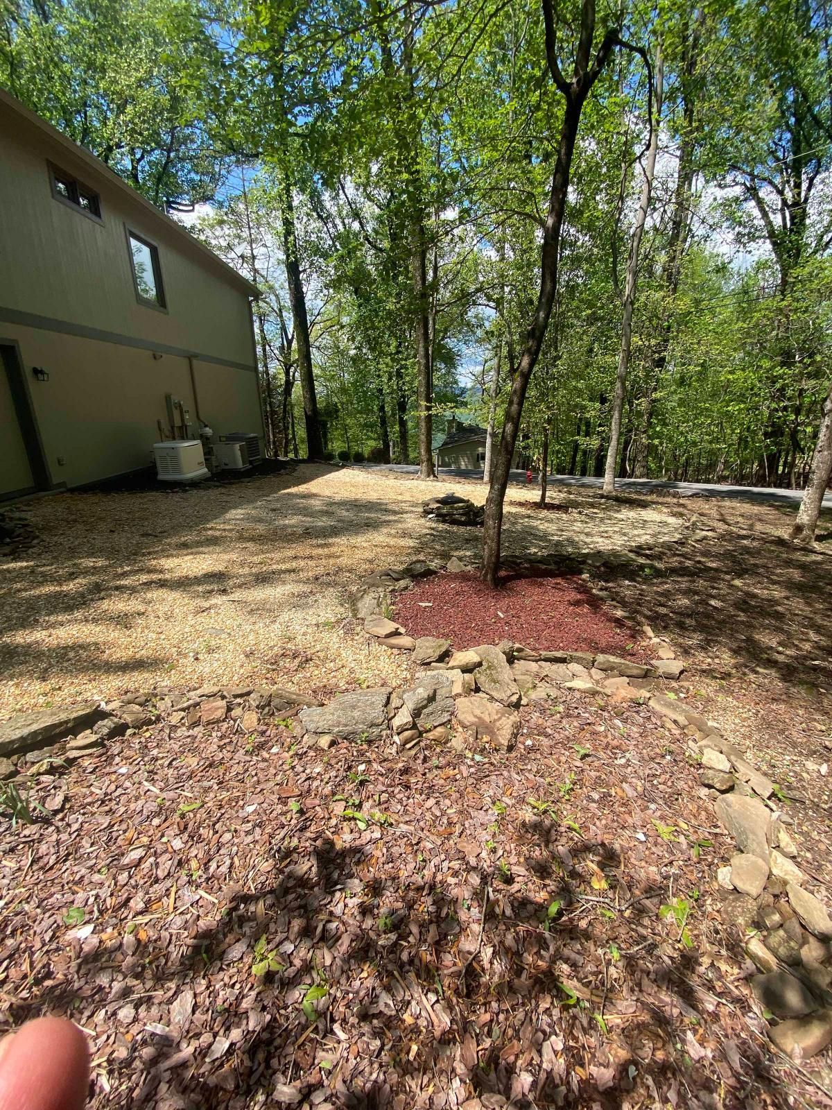 Wooded backyard with a tan house, leaf-covered ground, and a small tree surrounded by red mulch.