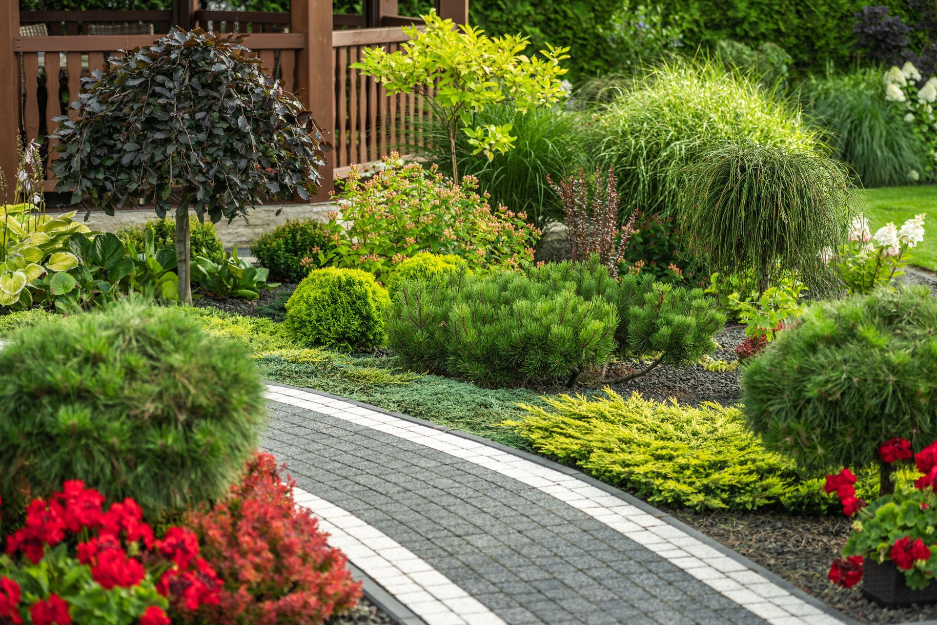 Winding paved path through a lush garden with diverse green plants, red flowers, and a brown wooden pergola.