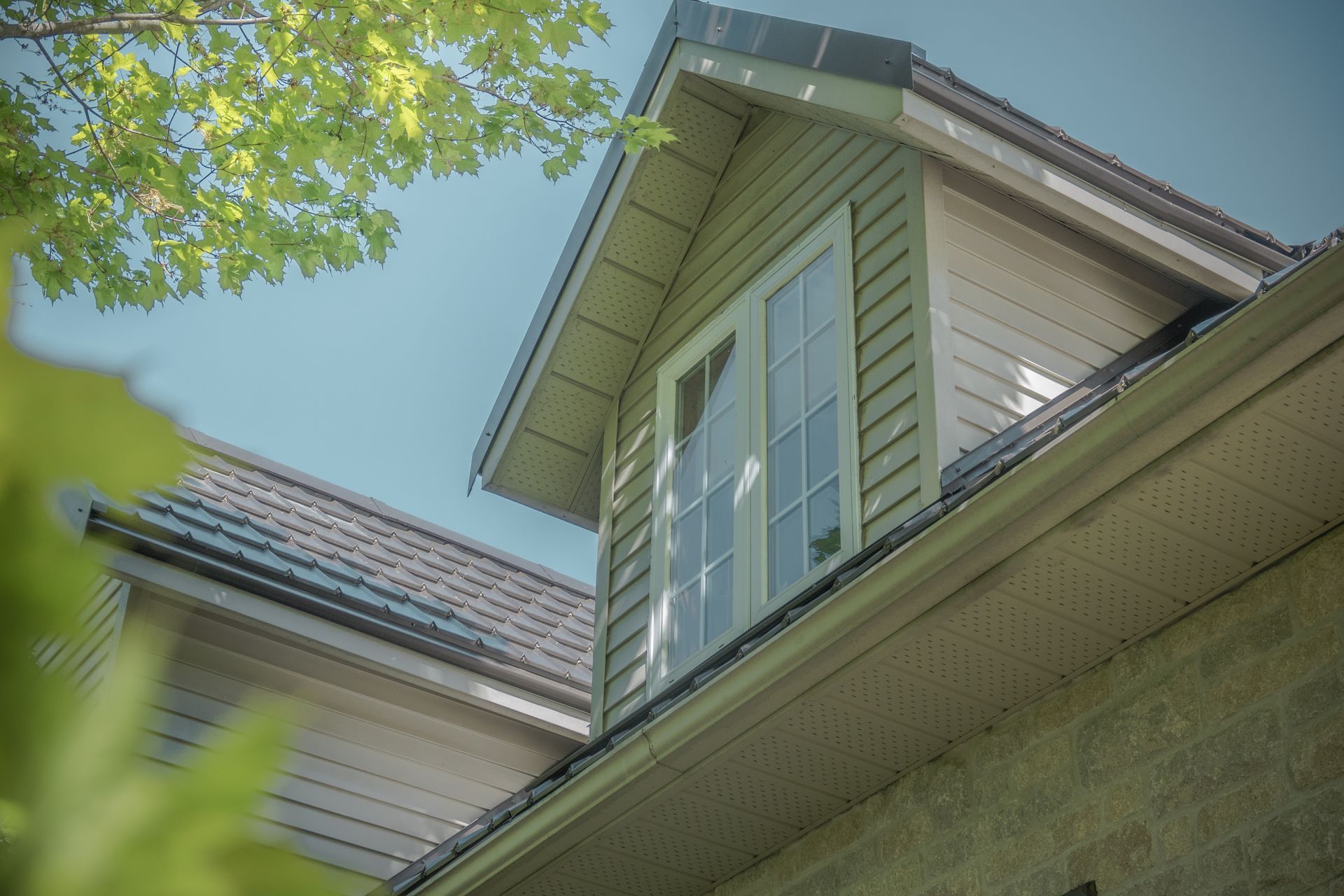 Green siding and window on a house, viewed from below, with a leafy tree branch in the corner.