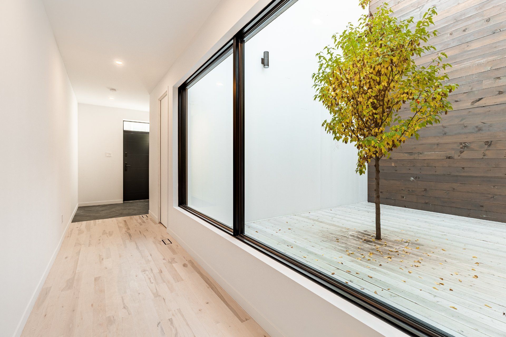 Un couloir avec un arbre au milieu