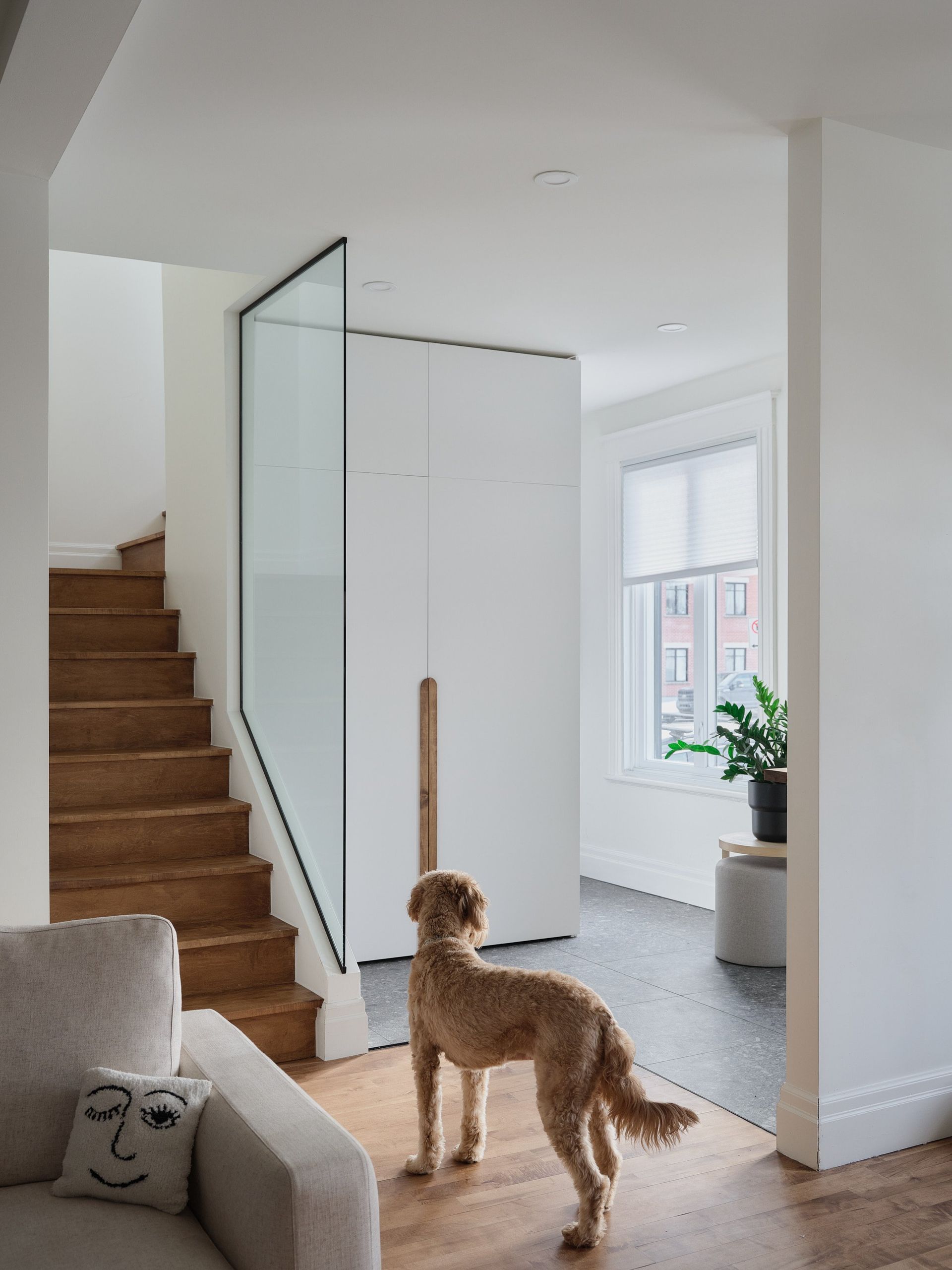 Un chien se tient dans un salon à côté d'un escalier.