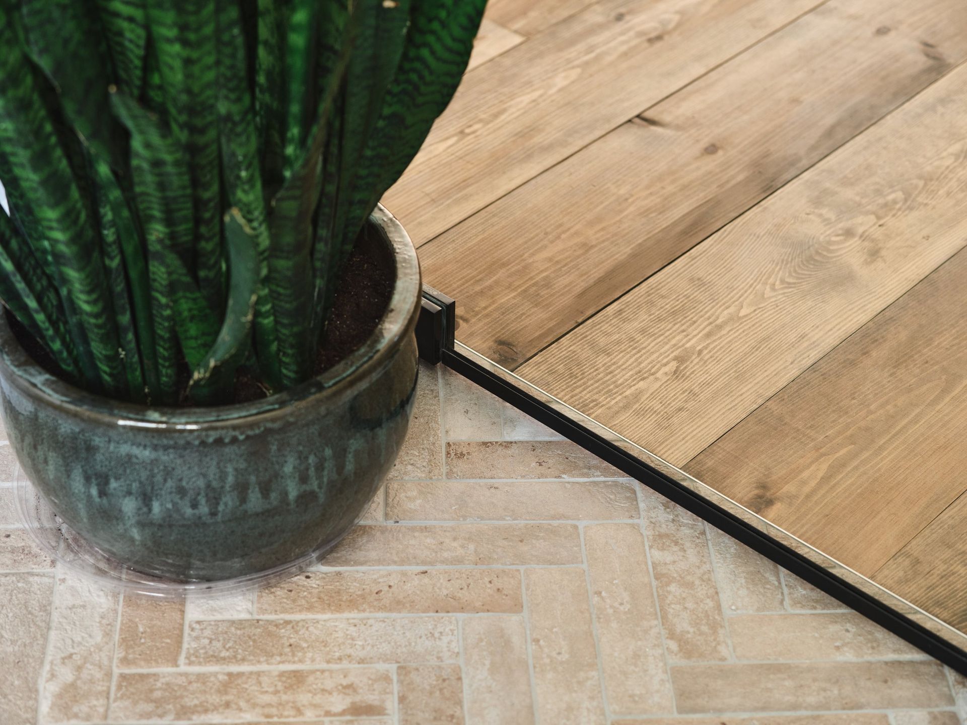 Une plante en pot est posée à côté d'un plancher en bois.