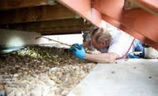 Scott Armbrust — Rid-A-Pest Exterminators in Littleton, CO