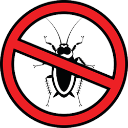 Roach extermination - Rid-A-Pest Exterminators in Littleton, CO