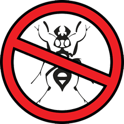 Ant Control — Rid-A-Pest Exterminators in Littleton, CO