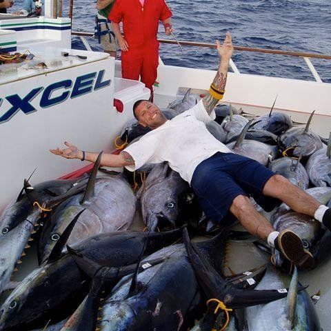 Lawrance Quigley Fishworks Products