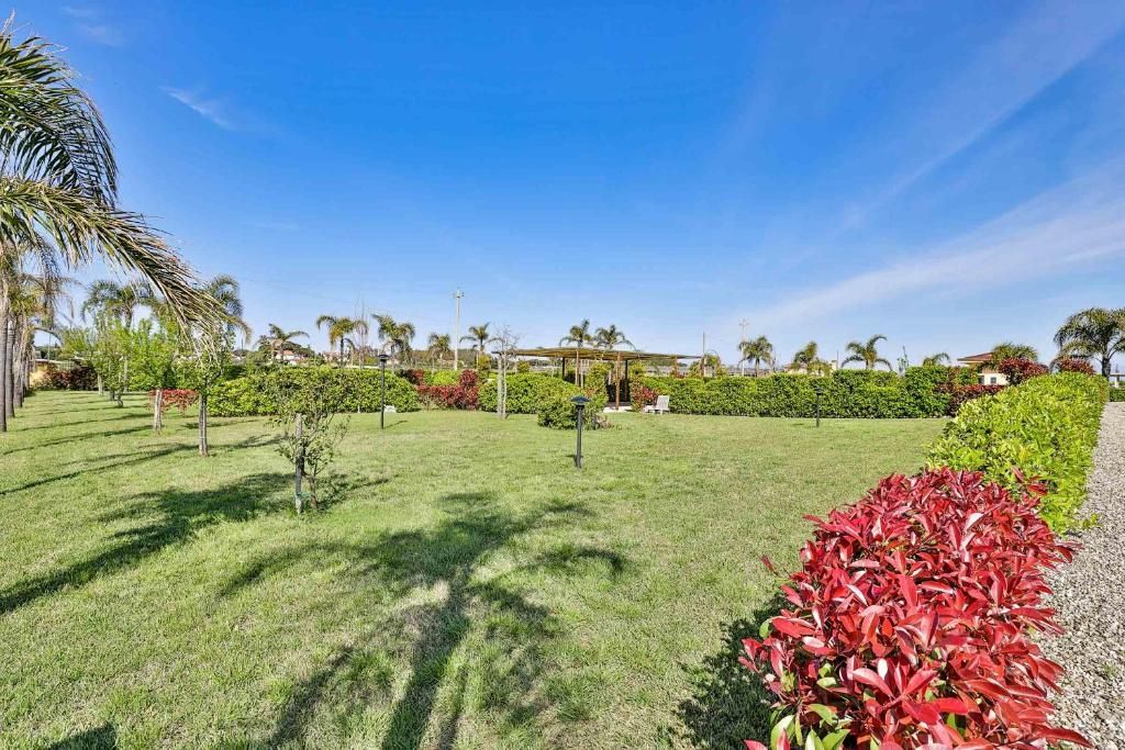 Un grande campo verde lussureggiante con alberi e cespugli in una giornata di sole.