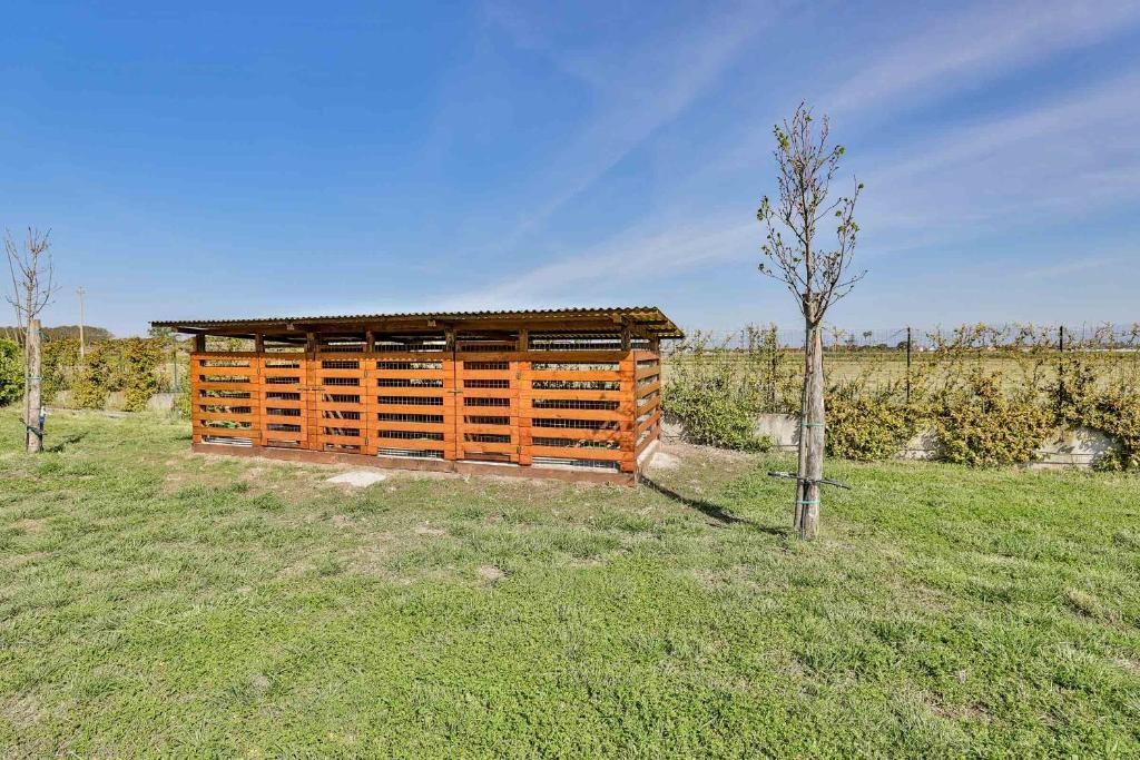 Una baracca di legno si trova in mezzo a un campo erboso.