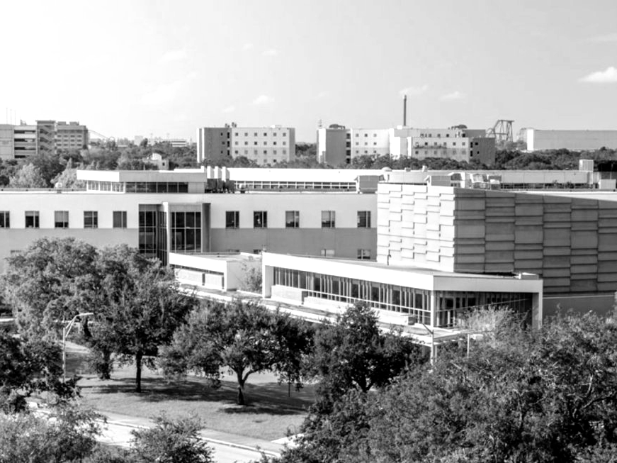 Buildings in an urban area with trees in the foreground.