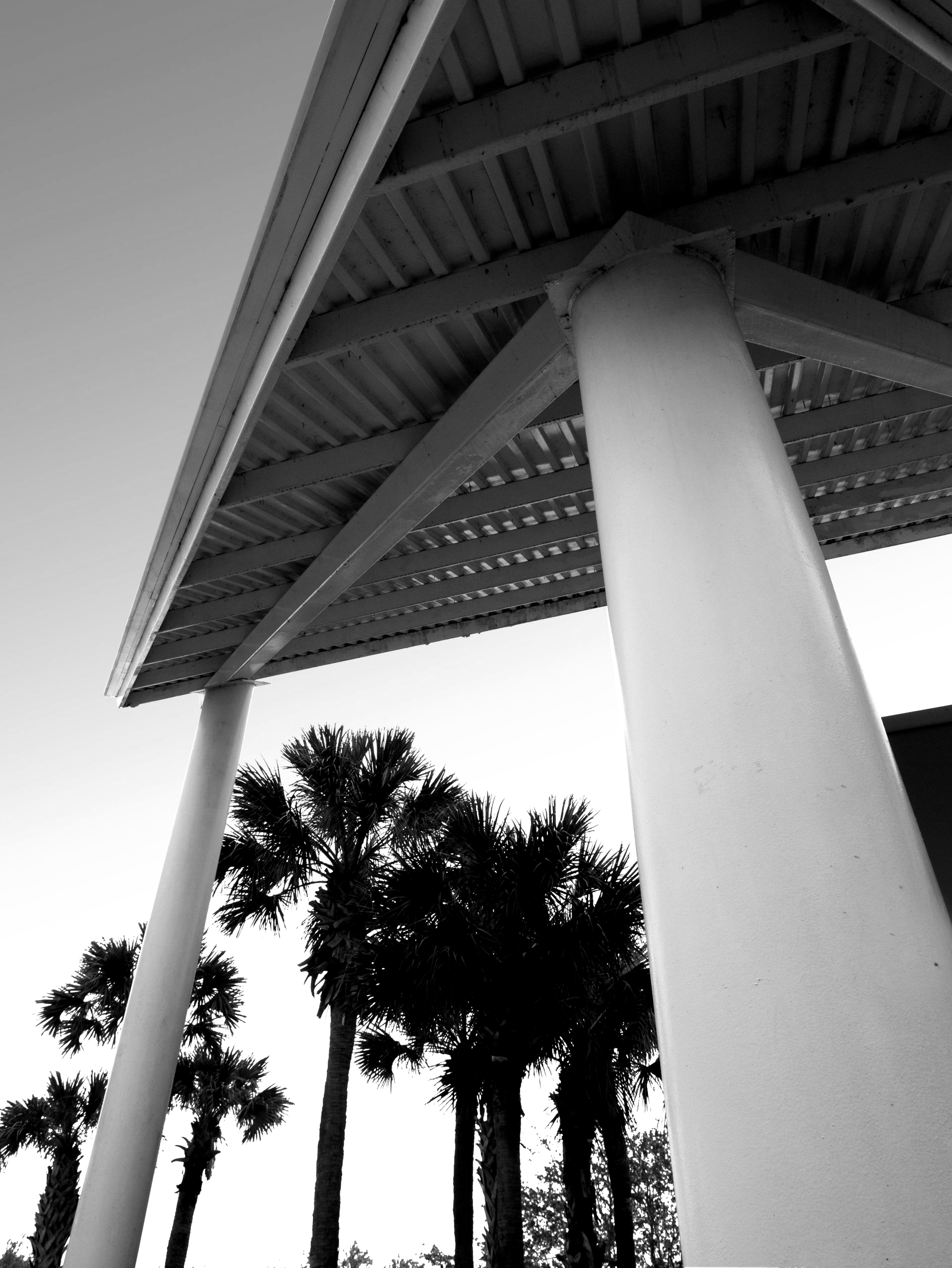 Black and white view from beneath a white-pillared shelter, palm trees silhouetted against the sky.
