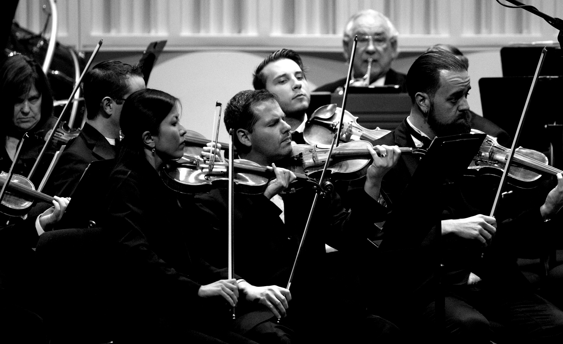 Orchestra musicians playing violins, black and white, indoors.