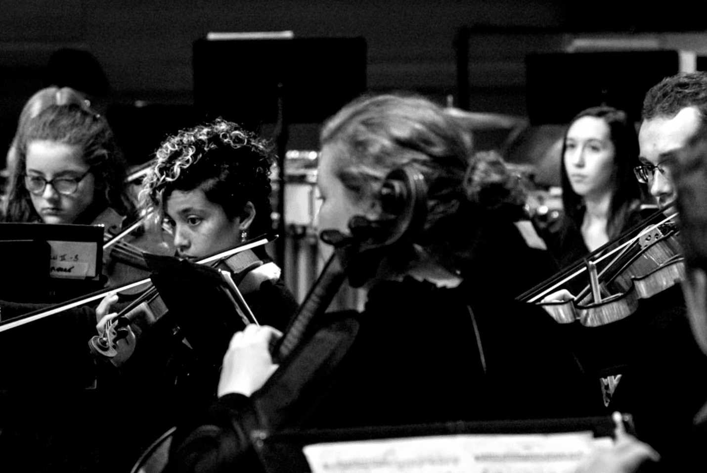 Orchestra members playing violins, focused on sheet music. Black and white, indoor setting.