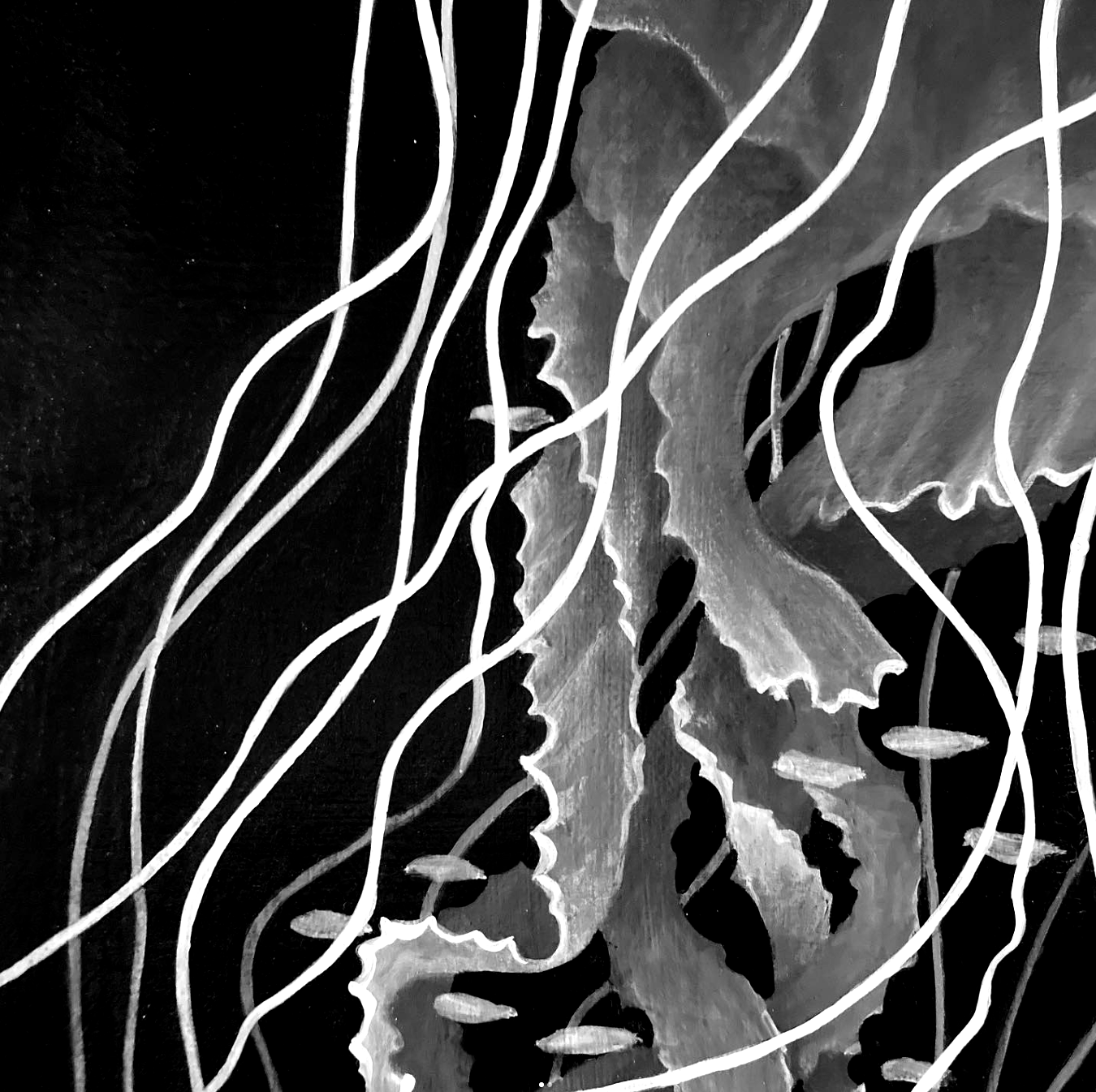Monochrome jellyfish with white tendrils and small fish against a dark background.