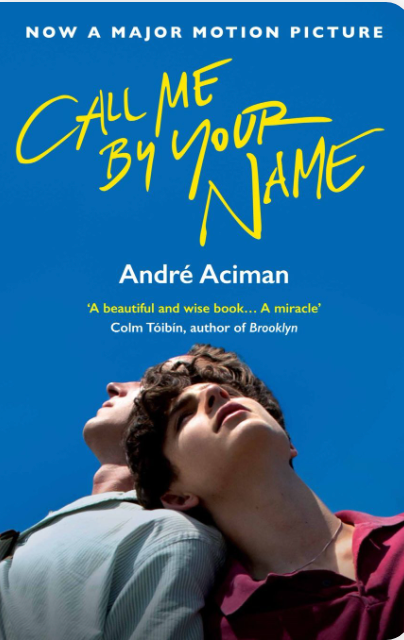 Book cover for "Call Me by Your Name," featuring two young men looking up against a blue sky.