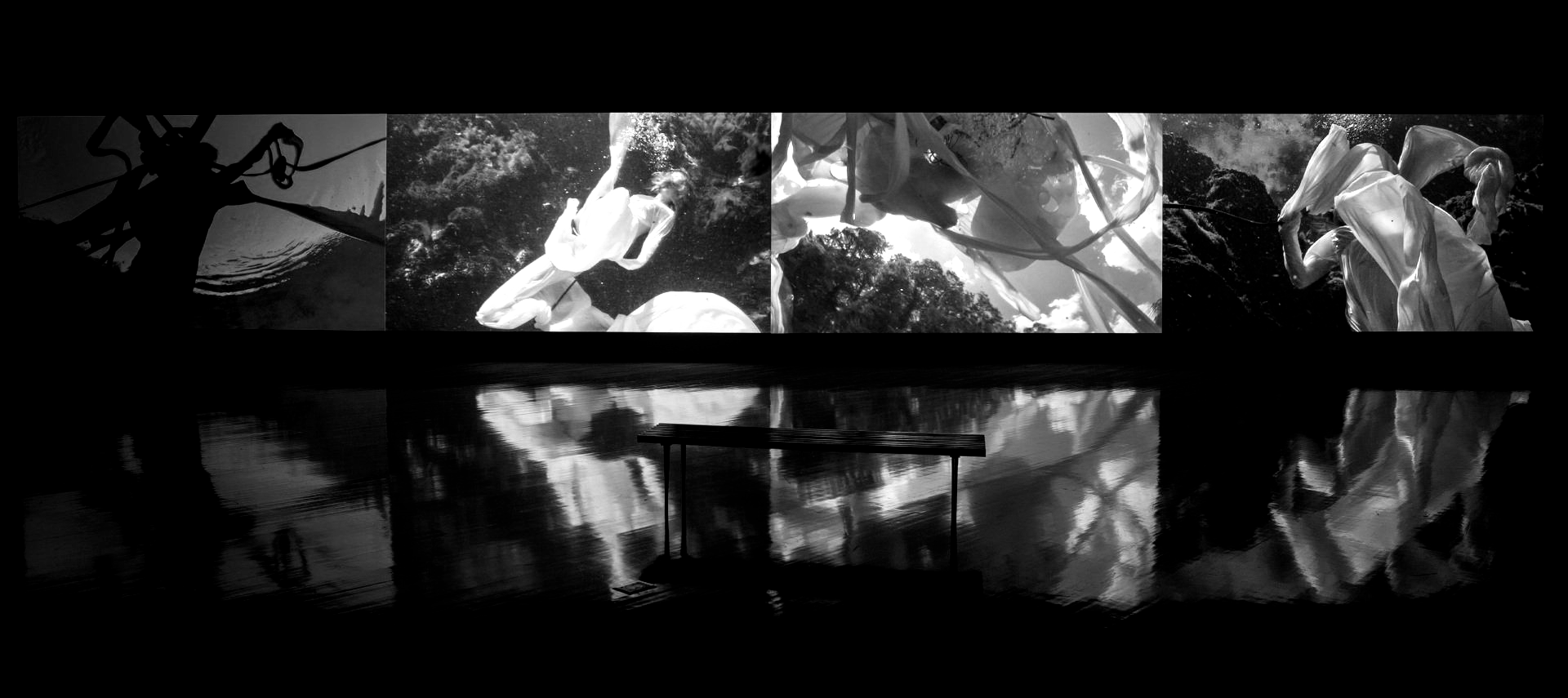 A series of black and white images reflecting in water, featuring nature and a person.