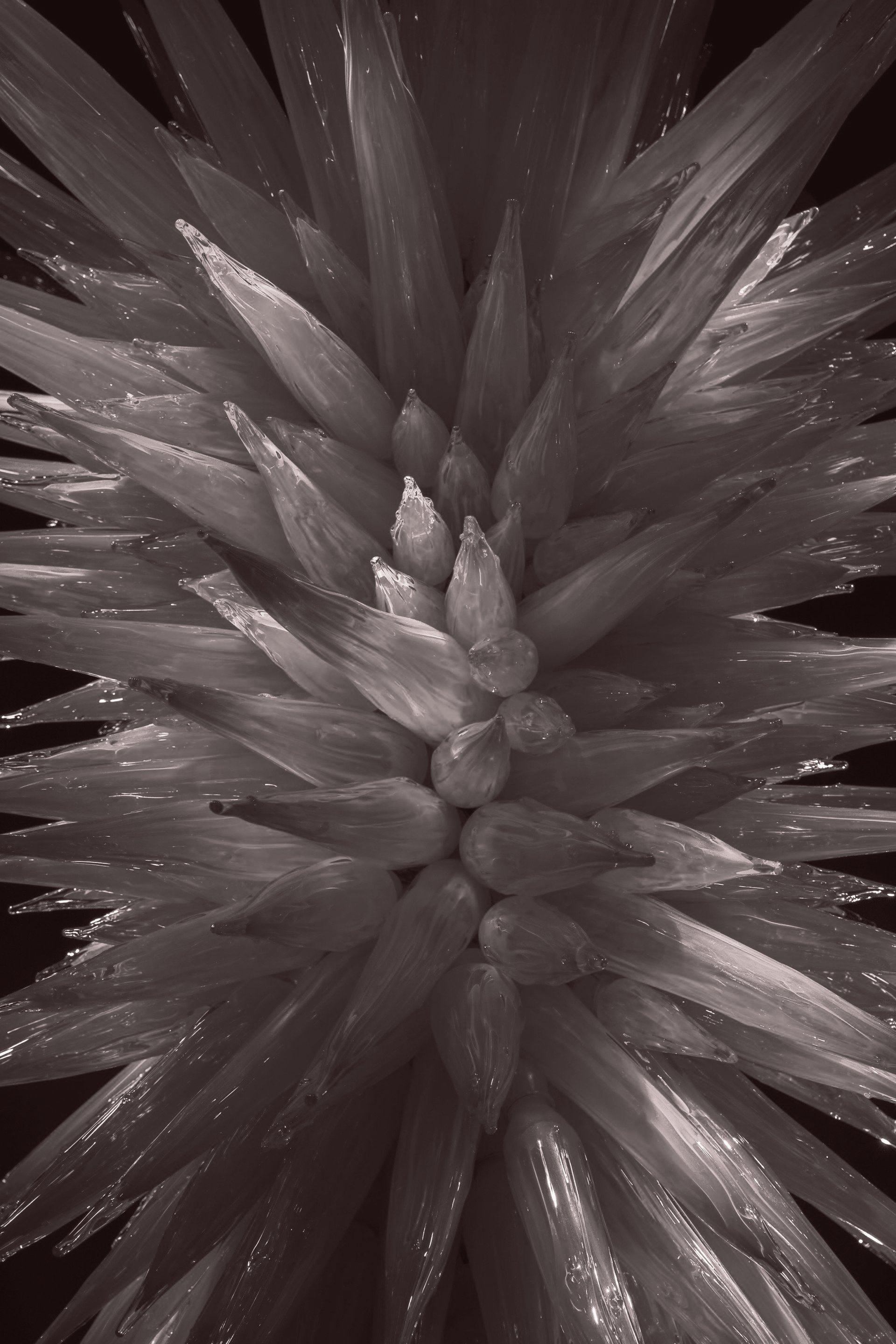 Black and white close-up of a spiky glass sculpture, radiating outwards from a central point.