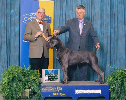 bredeer in burlison tennessee