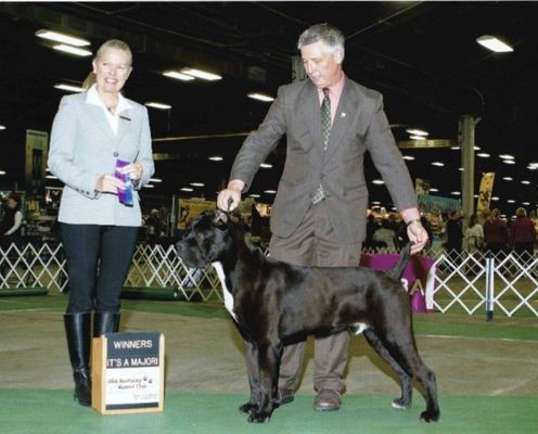 river bluff dog breeding