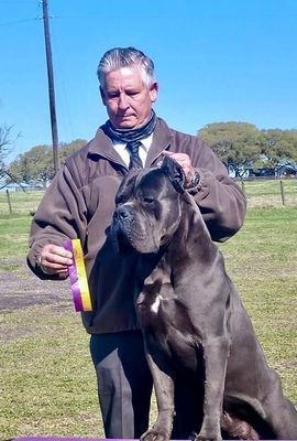 trusted dog breeder near me