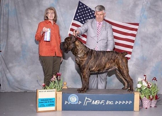 trusted dog breeding burlison tn