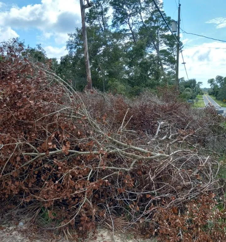 yard waste removal near me the villages