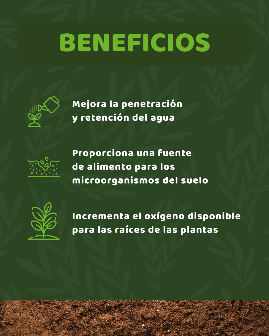 Dos botellas de fertilizante frente al césped. Una dice