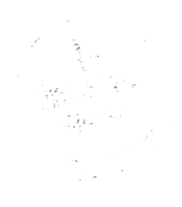 state street market logo