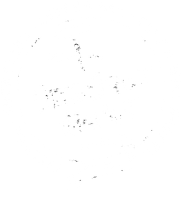 state street market logo