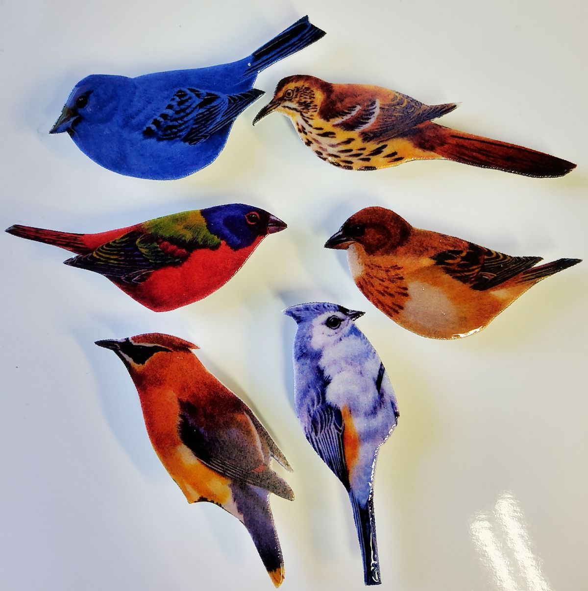 #! Bird magnets set of 6.