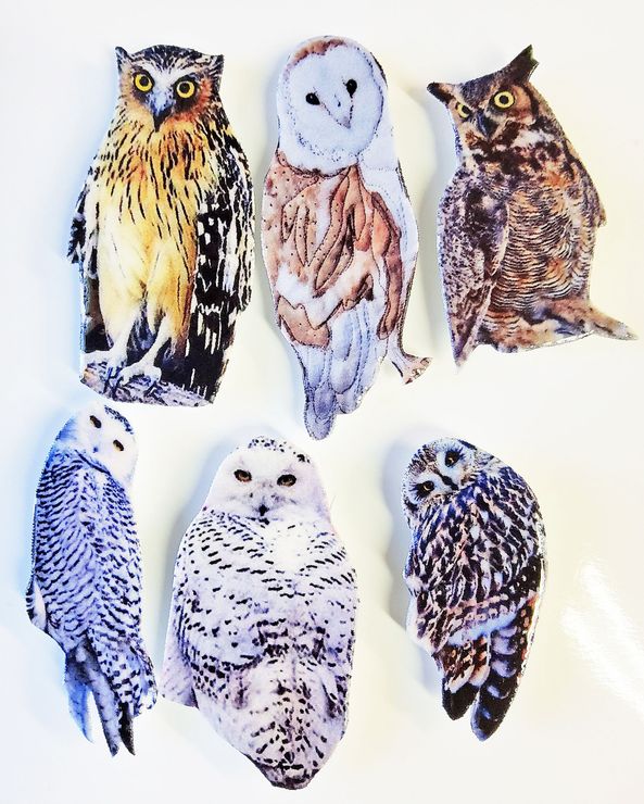 Owl Buttons #1 set of 6