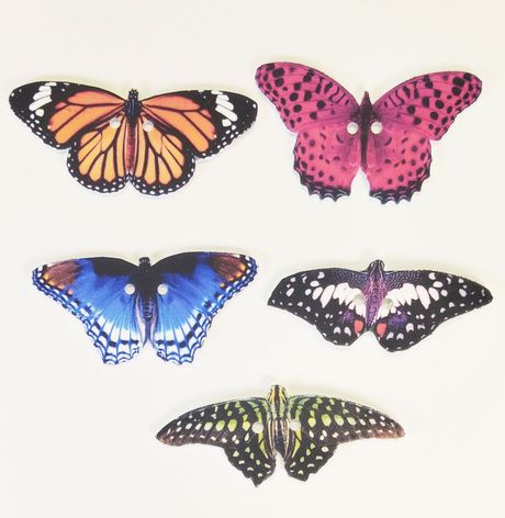 Butterfly Buttons set of 5
