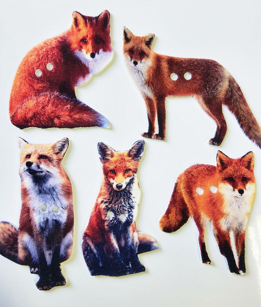 Fox #1 Button set of 5