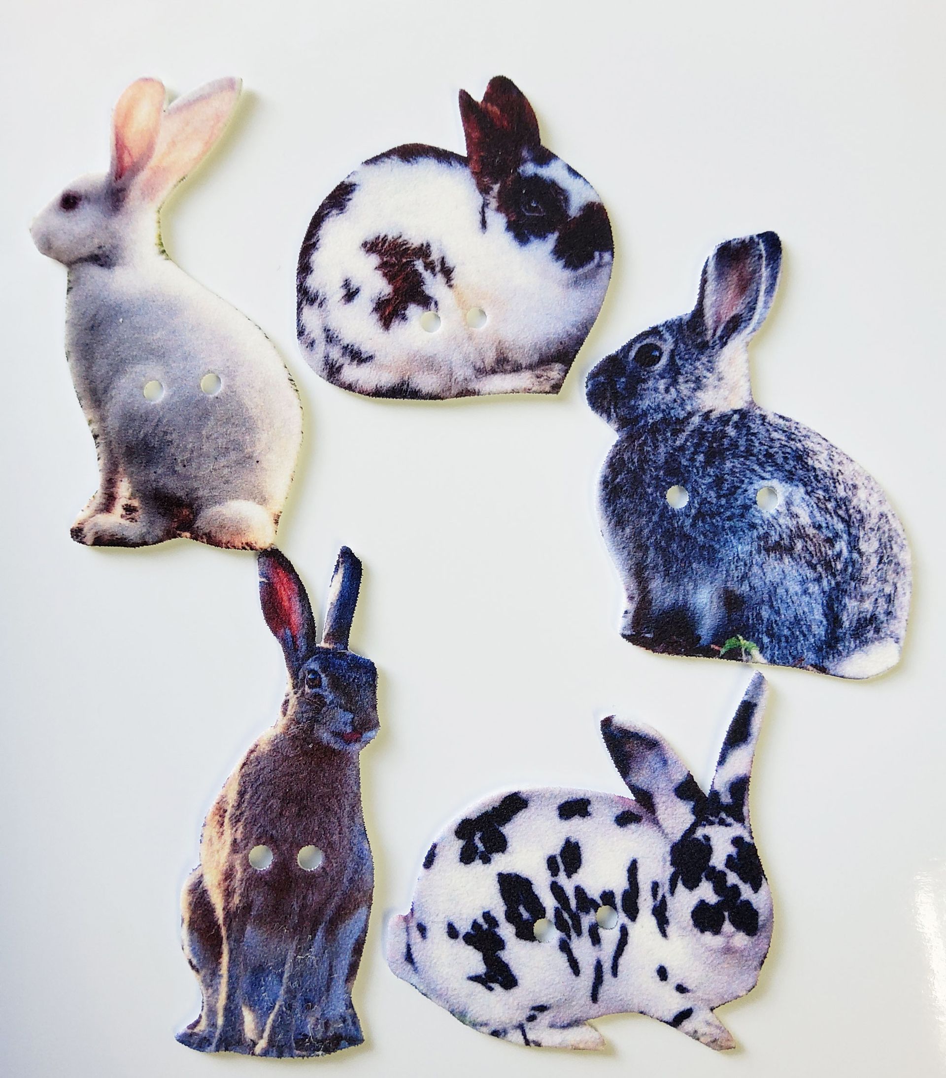 Rabbit Buttons #1 set of 5