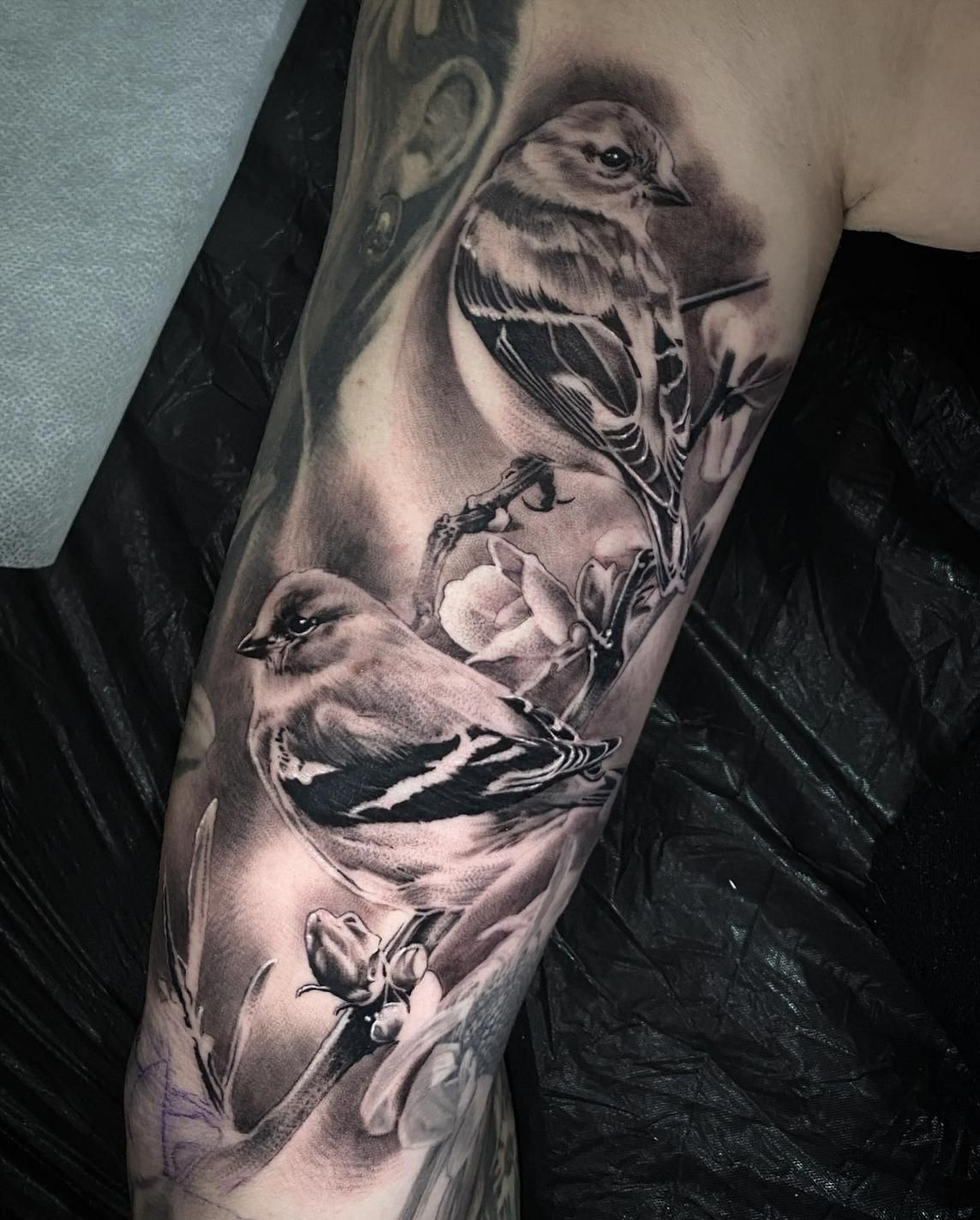 A Black and White Tattoo of Birds on a Branch on a Person 's Arm — Gallery Tattoo in Medowie, NSW