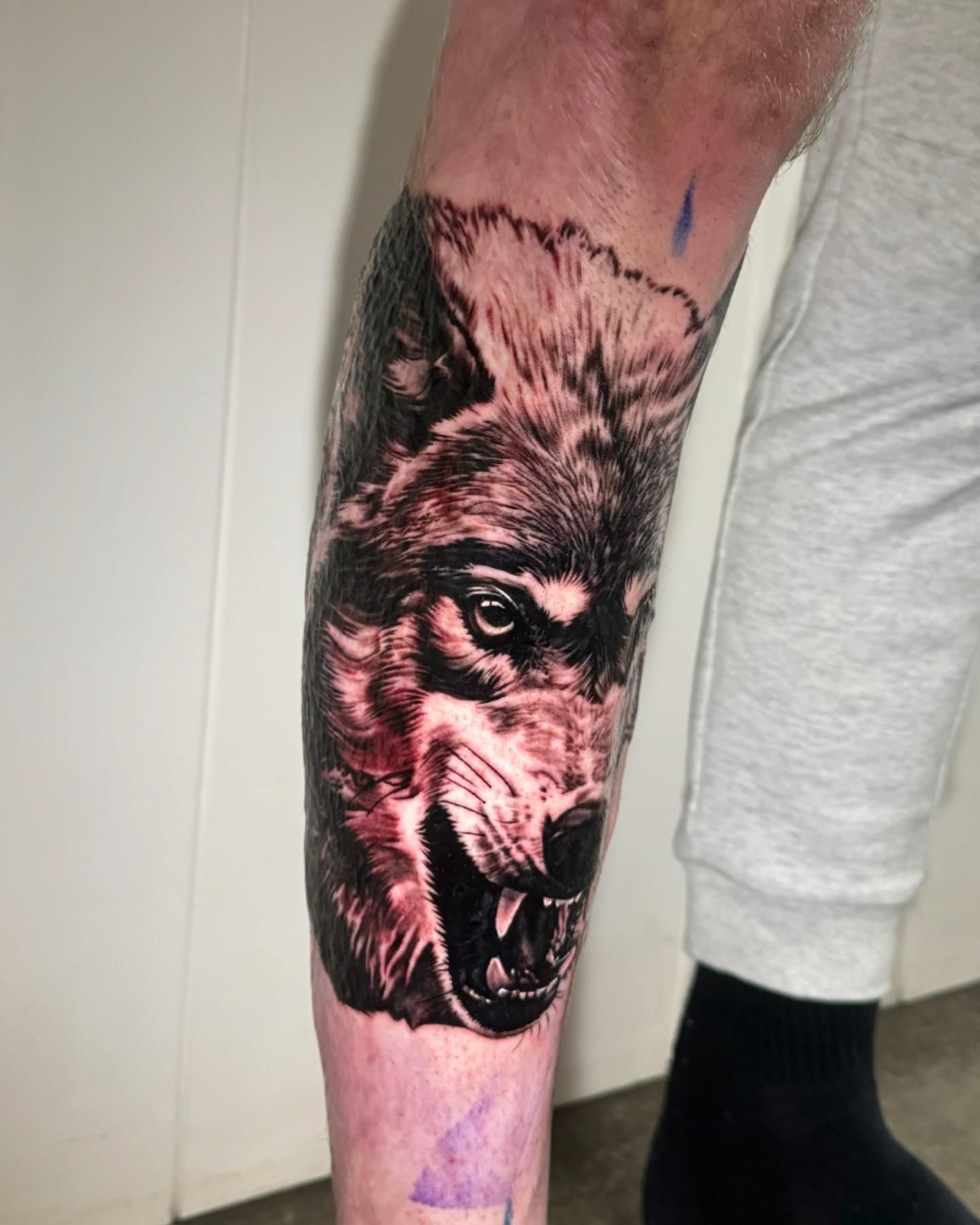 A Person Has a Tattoo of a Wolf on Their Leg — Gallery Tattoo in Medowie, NSW