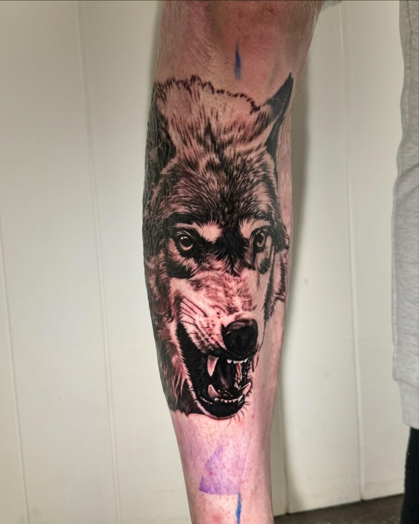 A Person Has a Tattoo of a Wolf on Their Leg — Gallery Tattoo in Medowie, NSW