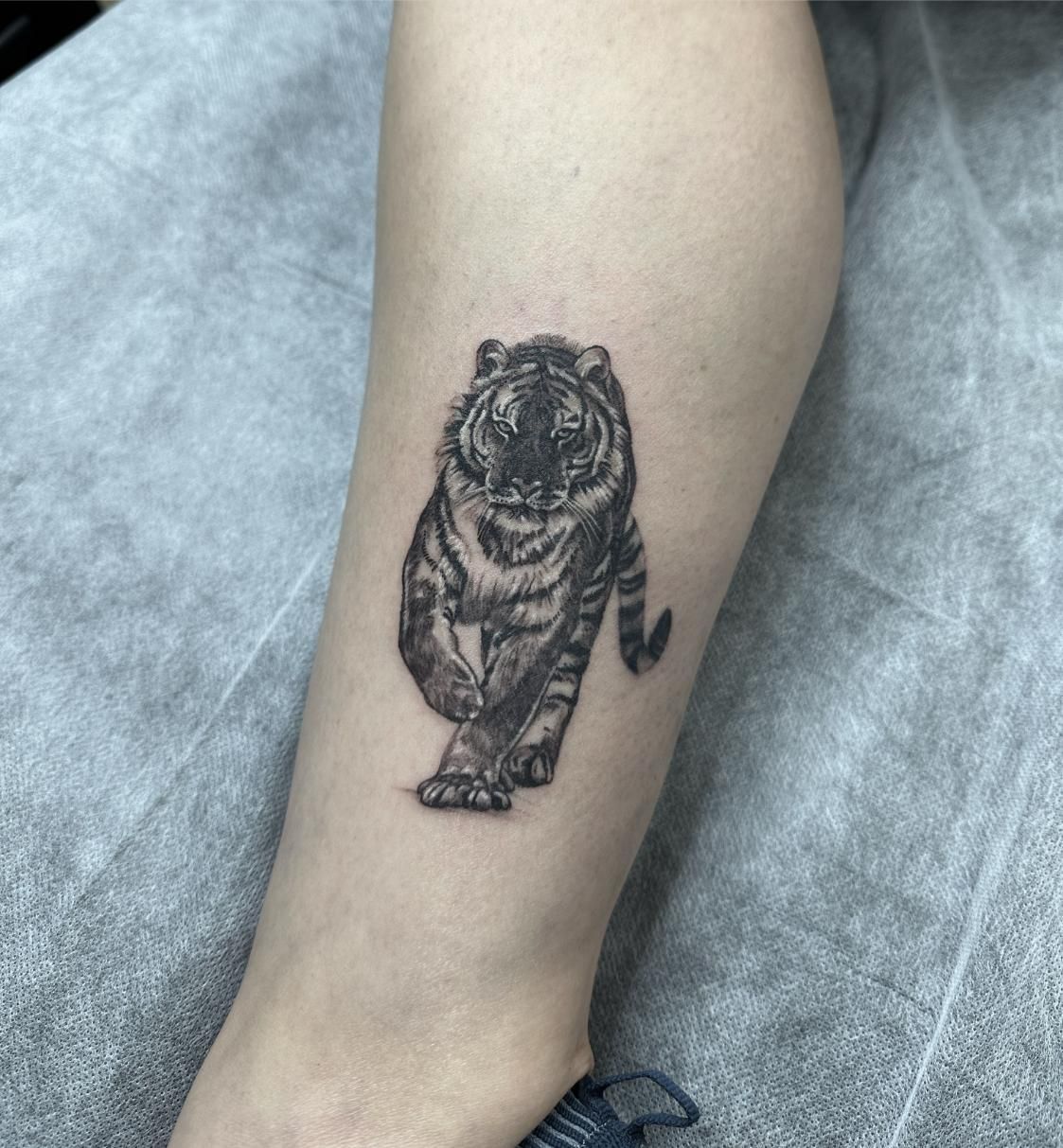 A Black and White Tattoo of a Tiger on a Person 's Leg — Gallery Tattoo in Medowie, NSW