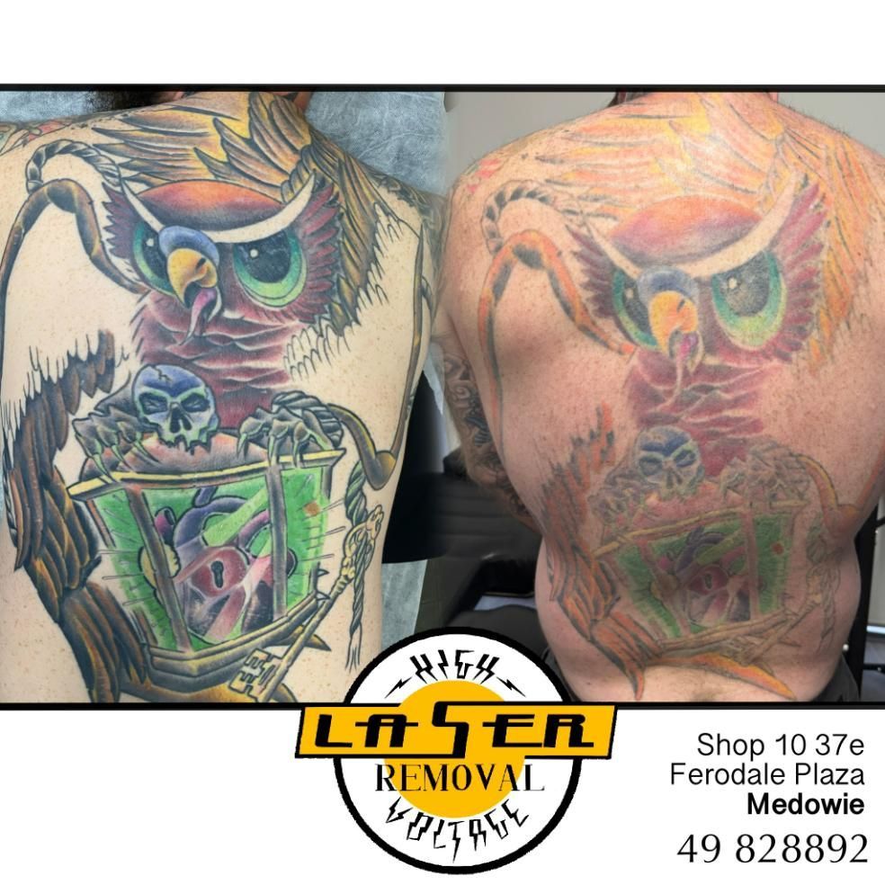 A Man Has a Tattoo of an Owl on His Back — Gallery Tattoo in Maitland, NSW