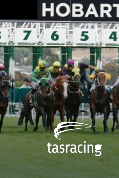 Horses racing from stalls at Hobart, Australia, with a tasracing logo.